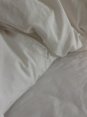 More disgusting hair found in the sheets