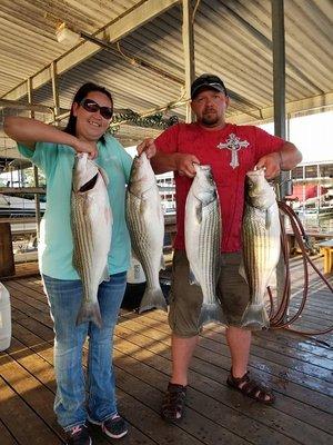 4 nice Lake Texoma Summer Striper