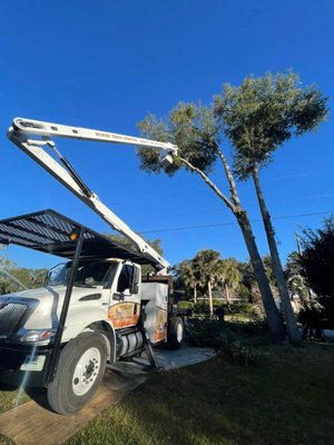 We specialize in hazardous tree removals, tree trimming and storm cleanup. Free estimates year-round!