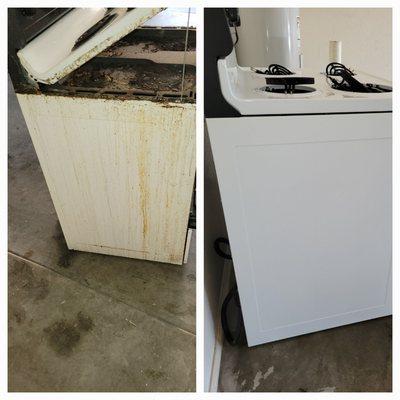 Before and after pictures