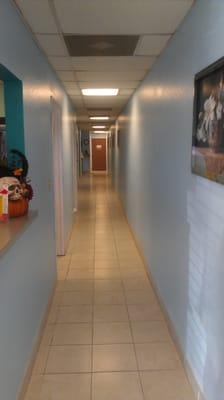 Our hallway to 4 state-of-the art digital treatment room.