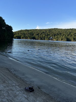 Beach view