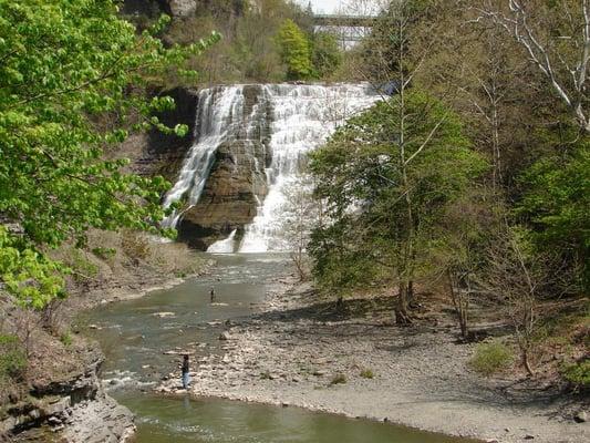 Ithaca Falls