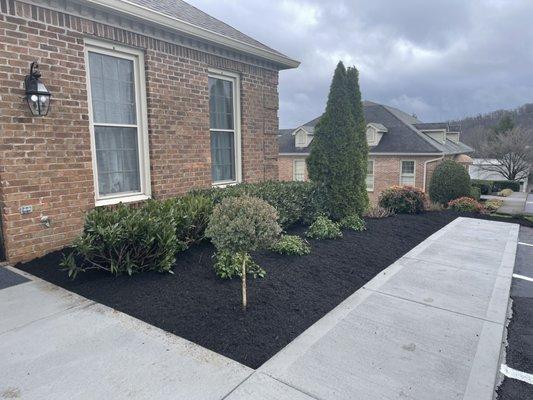 Planting of new softscapes and fresh mulch.