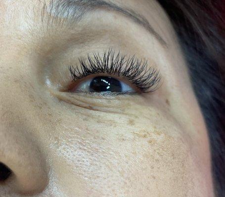 Classic lash extension