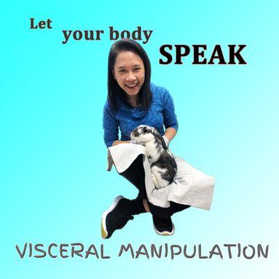 visceral manipulations