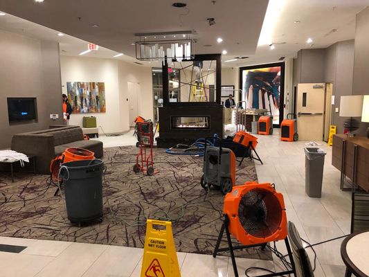 Water Damage in a hotel in Alexandria