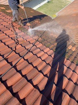 roof cleaning