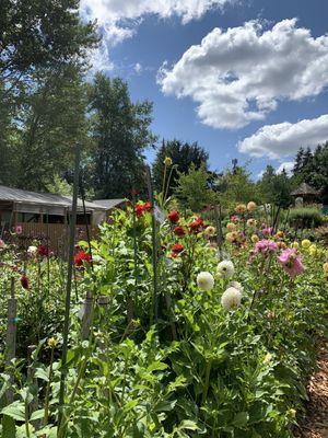 Gorgeous July day!