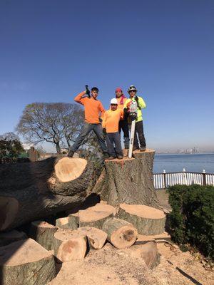 R&L tree service