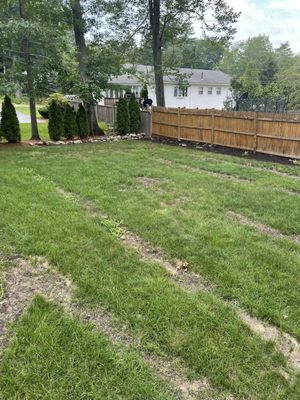 Groundhog Turf Care is responsible for the stripes on my lawn. They call this fixed.