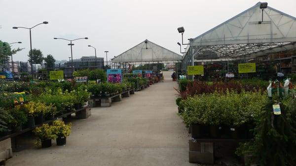 Biggest garden section of any Lowes in the area