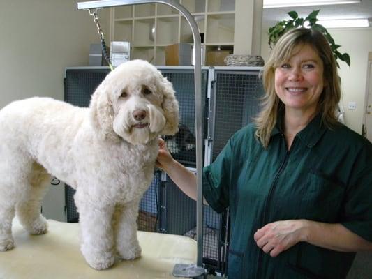 Grooming visits are an important aspect of Day School. Dogs learn about being handled and how to have their nails trimmed and be bathed.