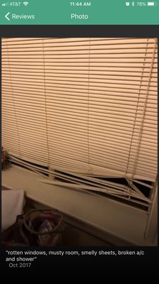 raggedy window shades