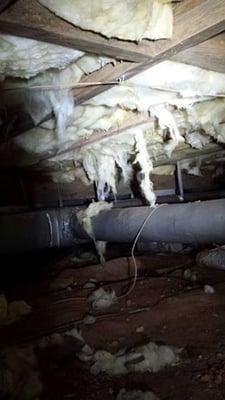 High moist Area in crawlspace