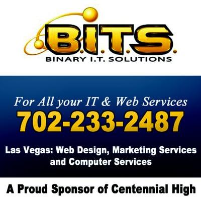 Binary I.T. Solutions, Inc.