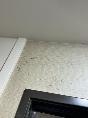 Black mold