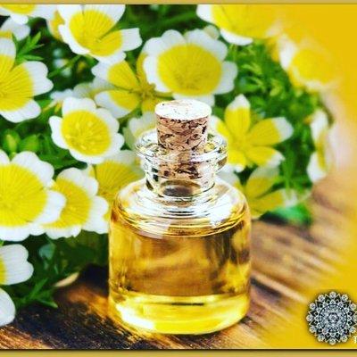 Meadowfoam Seed Oil-Another wonderful plant used in Lori Gordon Advanced Skincare-anti-aging and nourishing!