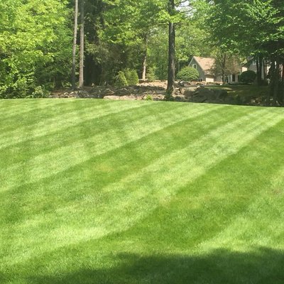 Lawn and Bed maintenance service