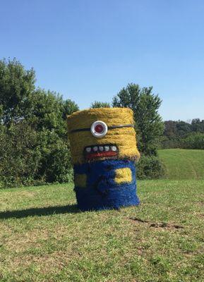 Libby's Pumpkin Patch