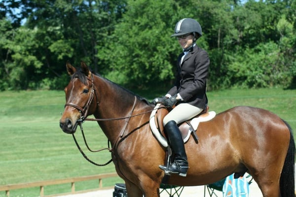 Top Notch Equestrian Centre