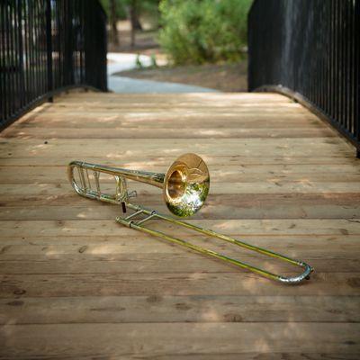 Make an appointment to try trombones with a professional trombone player.