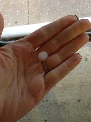 Whoa Jelly bean size hail!