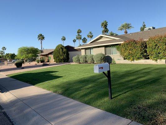 Adding new sod!