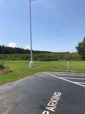 Corn field behind store