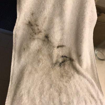 1 of many towels used to try to clean up our own room