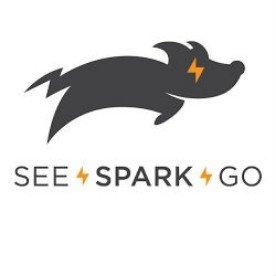 See.Spark.Go