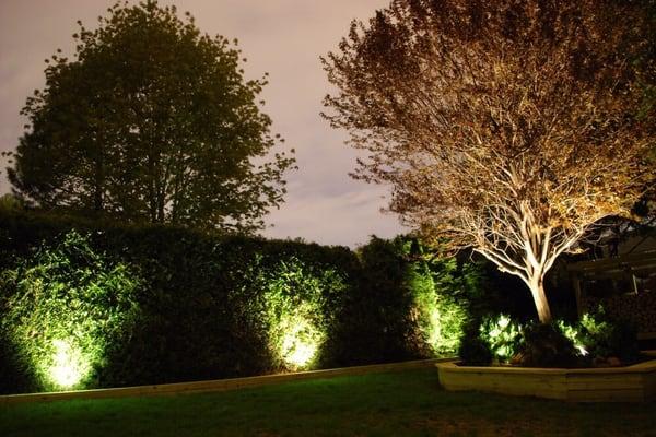 Landscape lighting