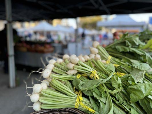 Radishes