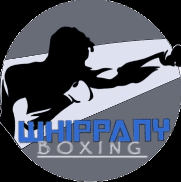 Boxing gym offering group classes and 1-1 lessons