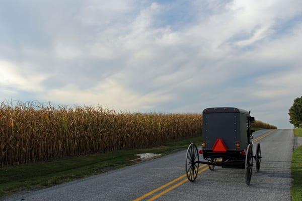 Amish Farm Stay