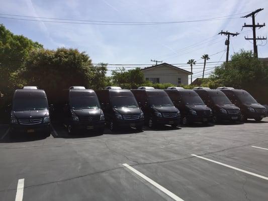 12 and 15 passenger Mercedes Sprinter Van