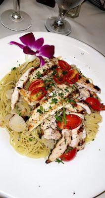 Angel hair garlic and oil with grilled chicken and tomato