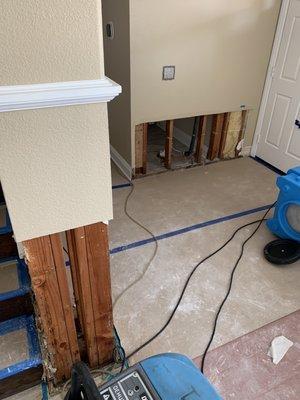 Mold water damage