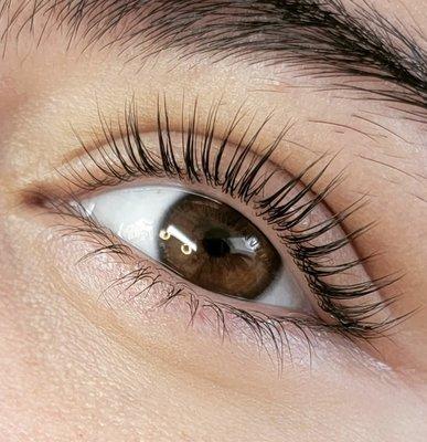 Lash Lifting