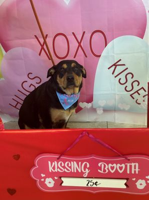 Valentine fun day at K9Nanni