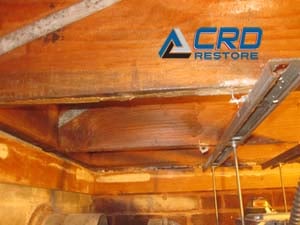 Attic Mold Remediation