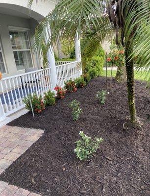 New plants and mulch