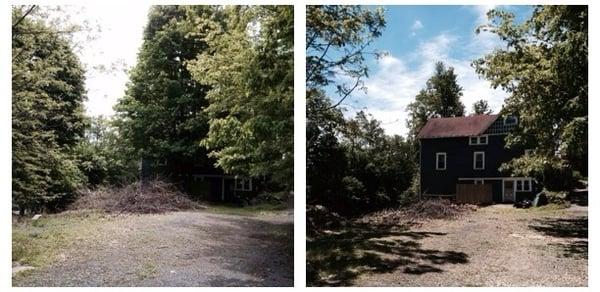 Before and after of maple growing waaaay to close to my house.