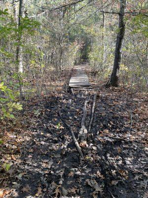 Muddy parts of the pond trail