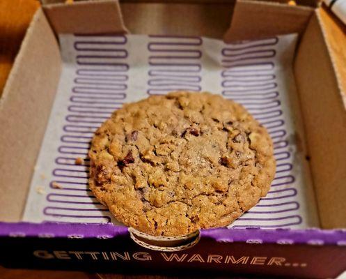 Insomnia Cookies Oatmeal Chocolate Walnut