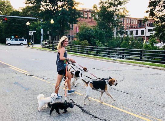 Owner Carolina out on a walk with some boarders!