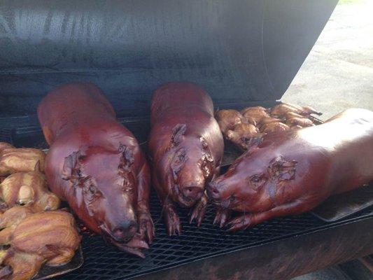 Local Pigs and Chicken on our Smoker Trailer.