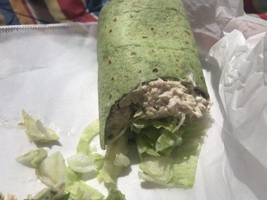 Chicken salad on spinach wrap. Very nice.