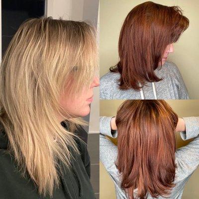 Transition to Dark Copper / hair by Denise Moore