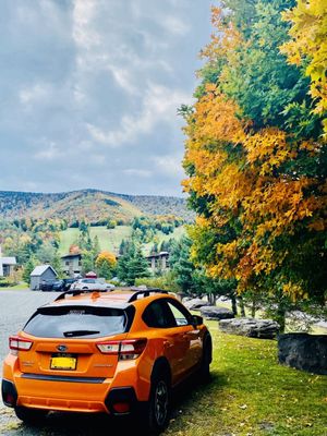 Clementine the 2019 sunshine orange Subaru Crosstrek